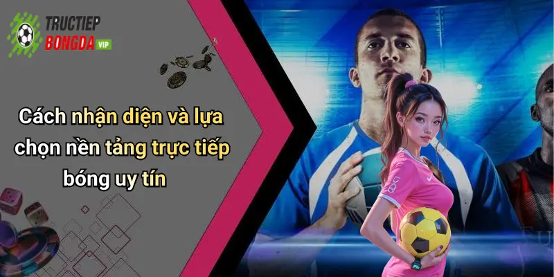 Cách nhận diện và lựa chọn nền tảng trực tiếp bóng uy tín
