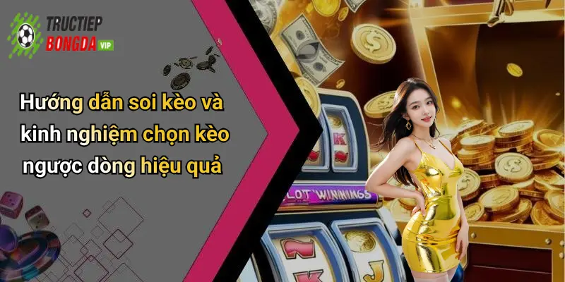 Hướng dẫn soi kèo và kinh nghiệm chọn kèo ngược dòng hiệu quả