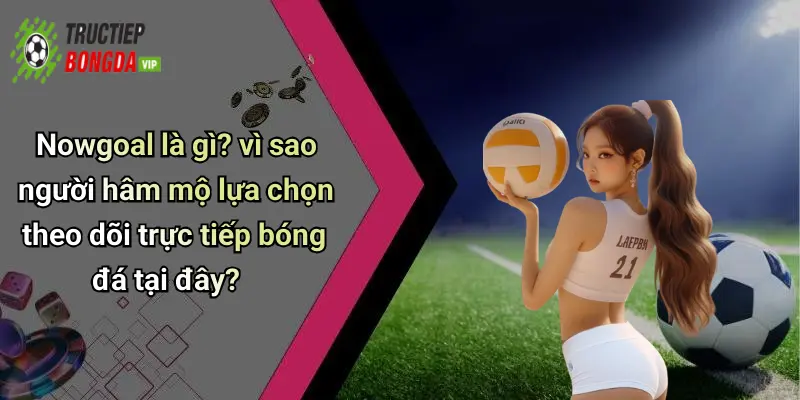 Nowgoal là gì? vì sao người hâm mộ lựa chọn theo dõi trực tiếp bóng đá tại đây?