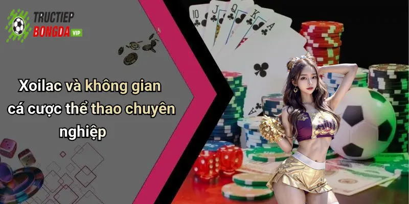 Xoilac và không gian cá cược thể thao chuyên nghiệp