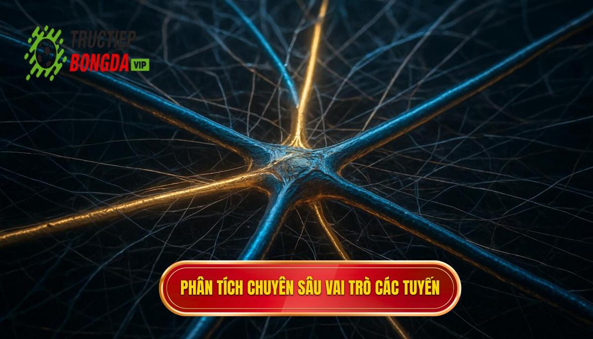 Phân Tích Chuyên Sâu Vai Trò Từng Tuyến