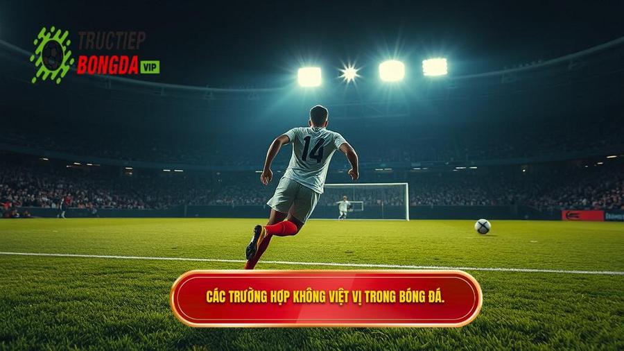 2. Các trường hợp không việt vị trong bóng đá.