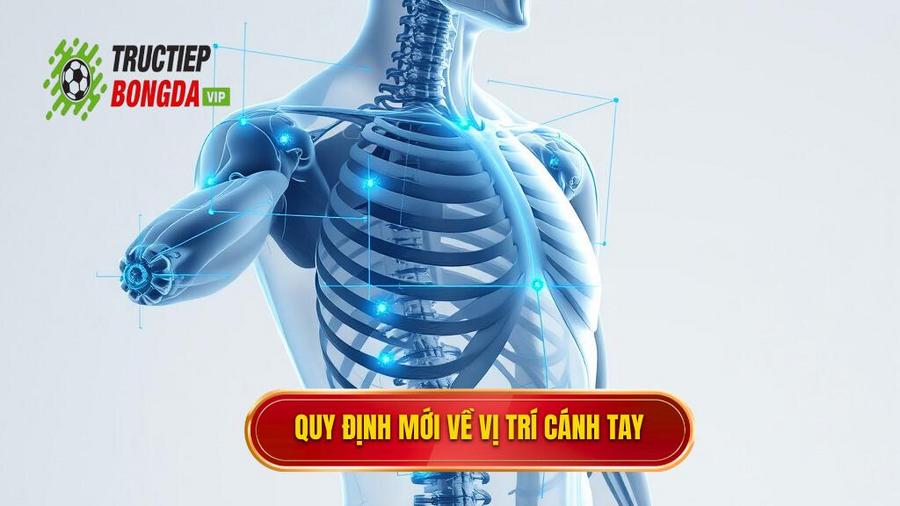 2. Quy định mới về vị trí cánh tay