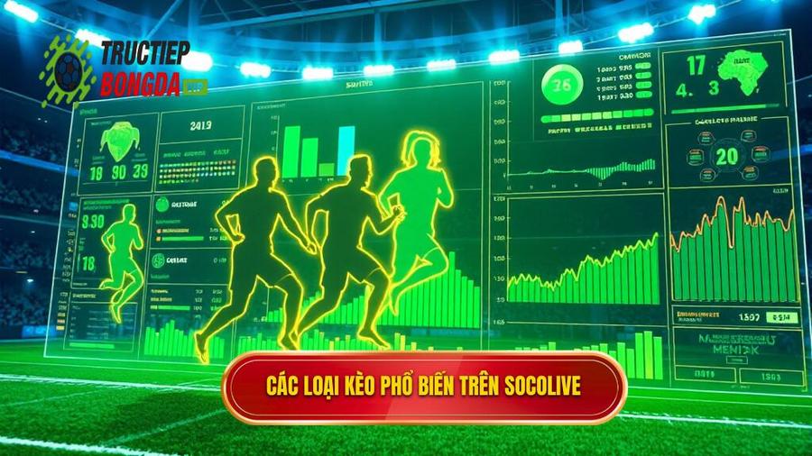 2. Phân tích các loại kèo phổ biến trên Socolive