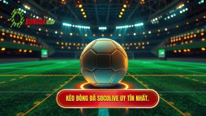 Kèo bóng đá Socolive: Cẩm nang soi kèo và cập nhật tỷ lệ trực tuyến cực chuẩn
