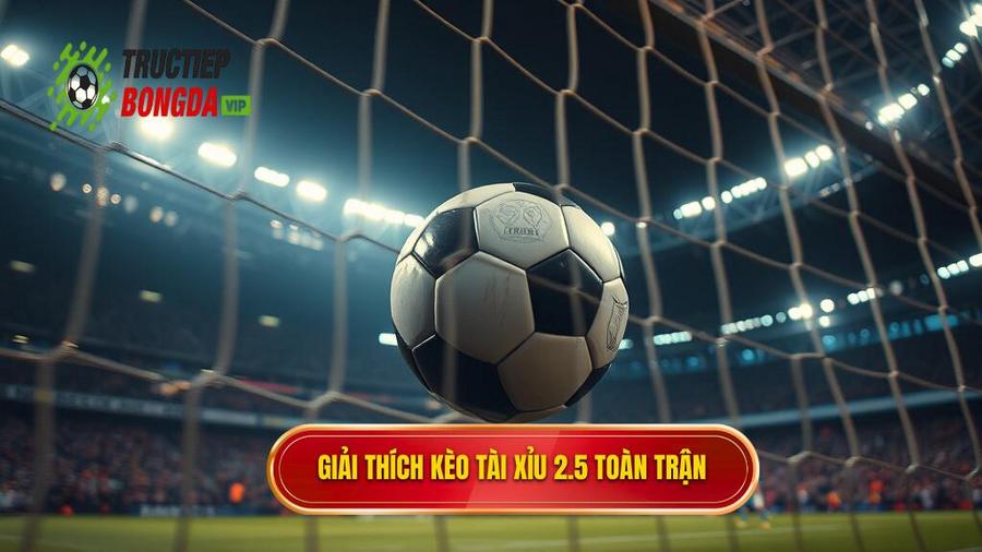 Hiểu rõ về kèo tài xỉu 2.5 toàn trận là gì?
