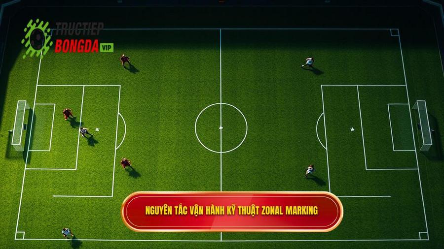 Nguyên tắc vận hành của kỹ thuật phòng ngự zonal marking