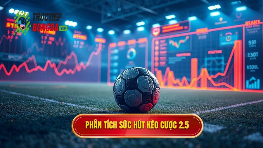 Phân tích đa chiều: Tại sao kèo 2.5 lại là "điểm nóng" cá cược?