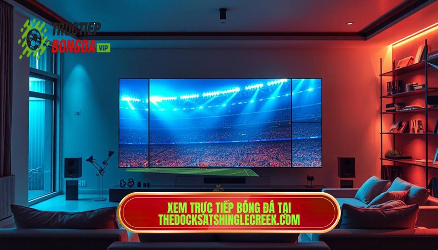 Tại sao nên chọn TRỰC TIẾP BÓNG ĐÁ tại thedocksatshinglecreek.com?