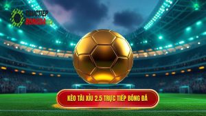 Kèo tài xỉu 2.5 toàn trận là gì? Bí quyết soi kèo từ chuyên gia